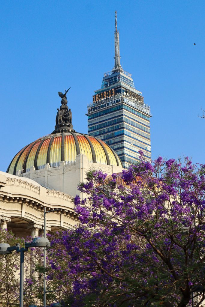View of Torre Latinoamericana and Palacio de Bellas Artes with blooming jacaranda trees in Mexico City.